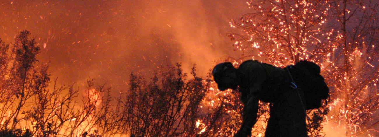 Firefighter works the line during a scrub fire.