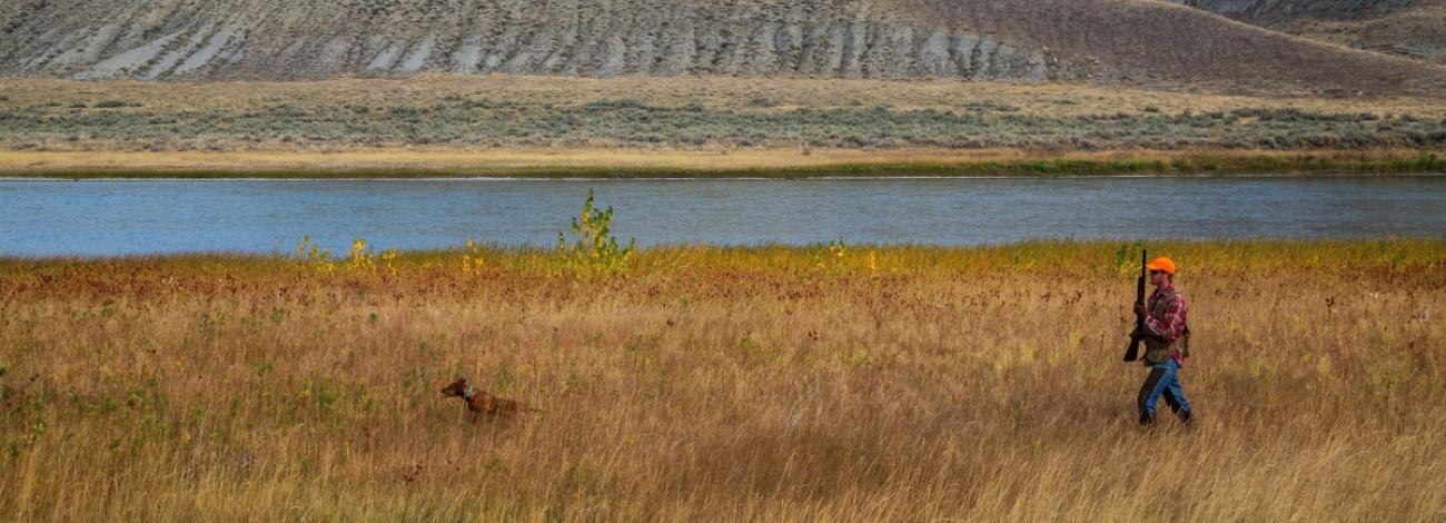 A hunter and his dog cross the fields at Upper Missouri River Breaks in Montana.  Photo by Bob Wick, BLM.