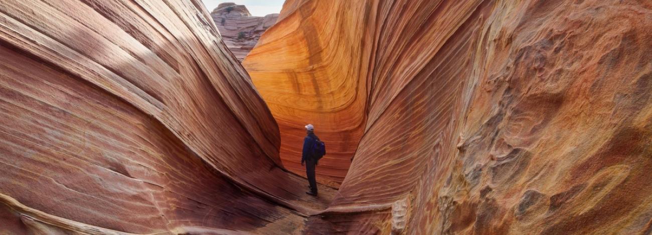 A close up of the Wave in Arizona. Photo by Bob Wick, BLM.