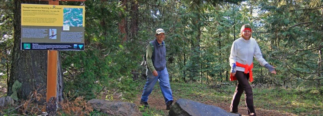 Pacific Crest National Scenic Trail