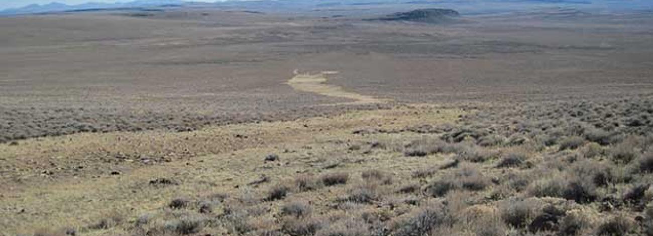 A wide, open desert landscape with low shrubs stretches toward distant hills and mountains. A faint dirt path winds across the flat terrain under a clear sky.