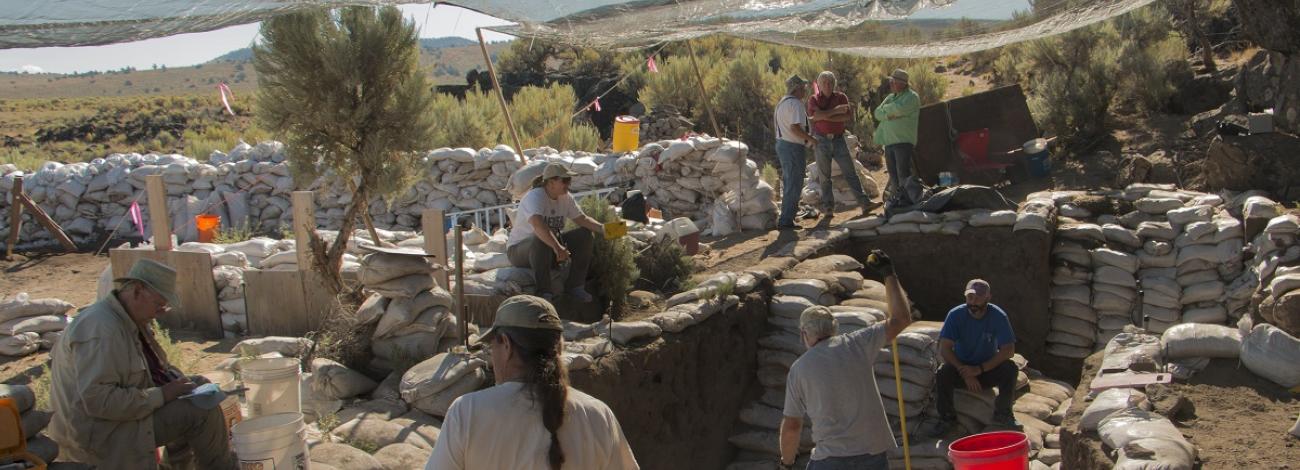 archaeologists working on a site