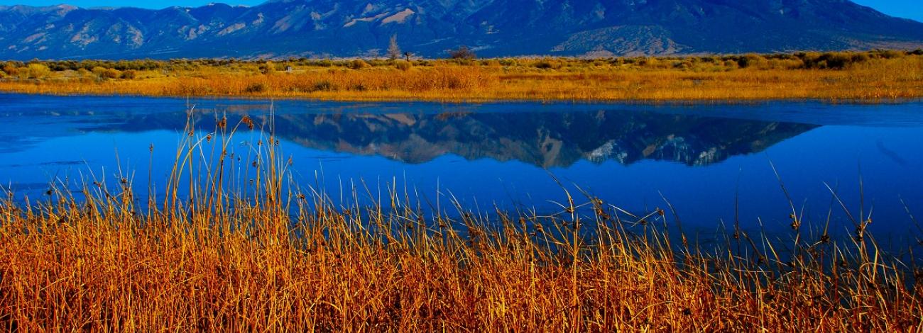View of Blanca Peak from Blanca Wetlands with clear blue waters surrounded by tall grasses.