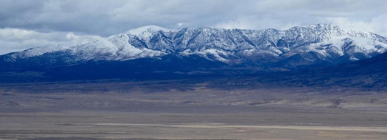 wildhorse__HerdManagement_2018AntelopeValleyHMA_CreditBLMBruceThompson