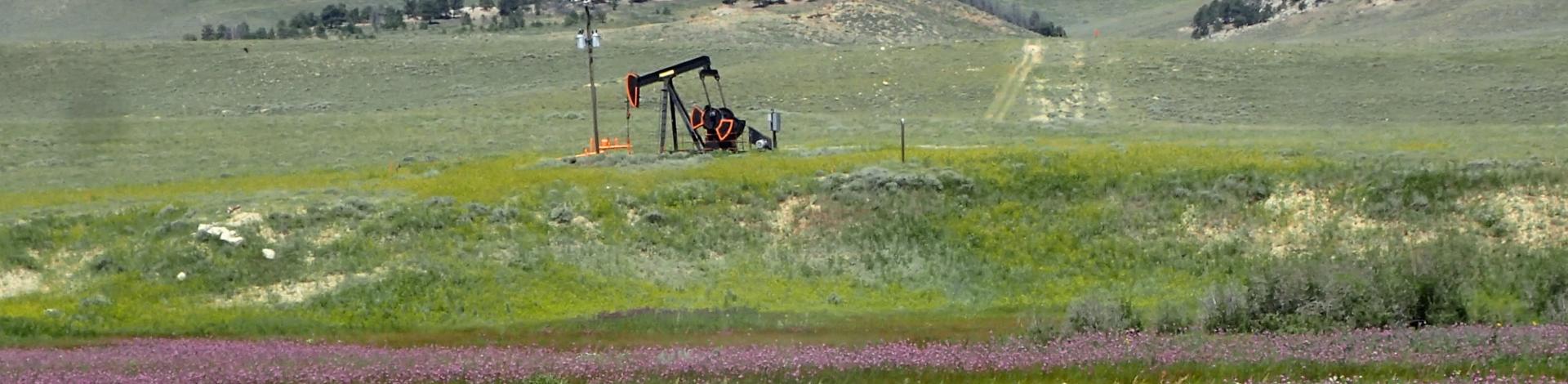 BLM-WY-RockRiverOilfield.McFadden