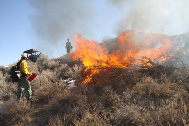 a firefighter watches a juniper pile burn