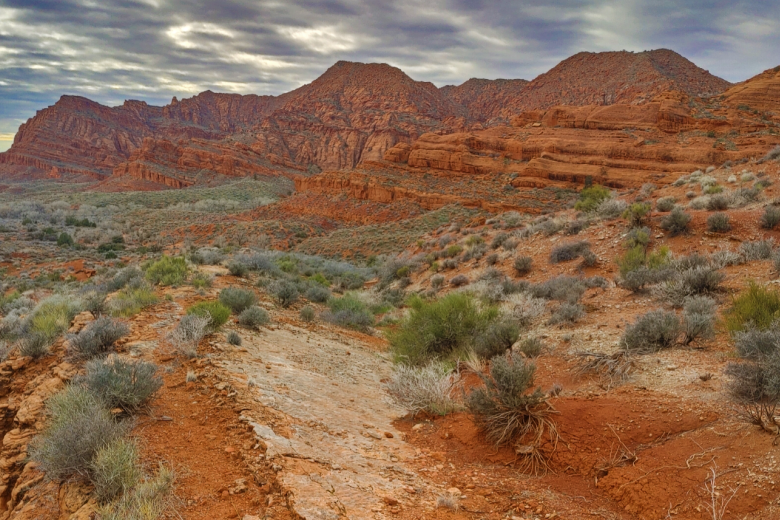 Red Cliffs with desert vegetation in the National Conservation Area.