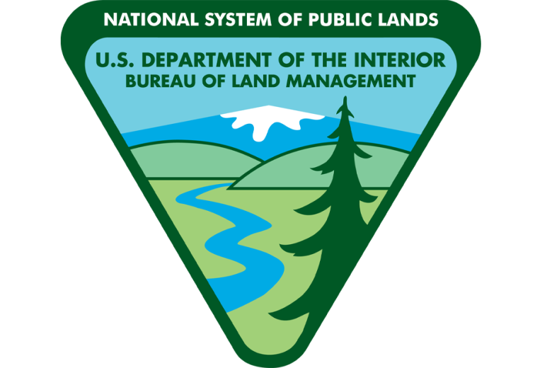 BLM Logo