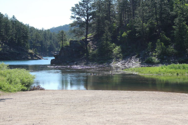 A calm body of water surrounded by tall trees. 