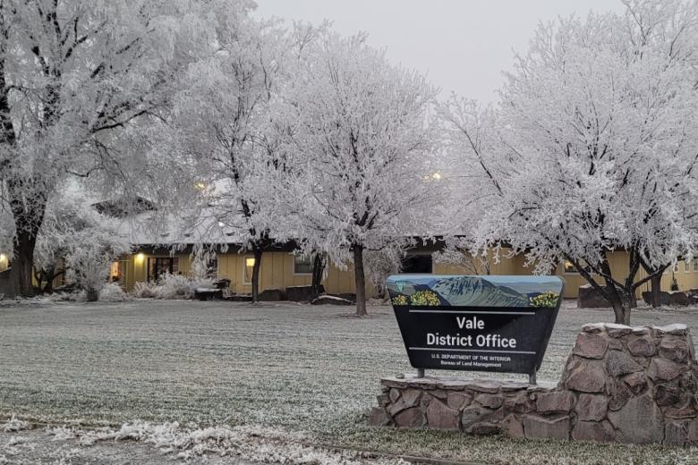 Exterior of Vale District Office building in the winter, with snowy trees
