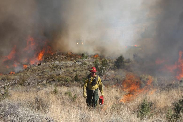 Wildland firefighter in protective gear walks through dry grass as flames and thick smoke rise behind them.