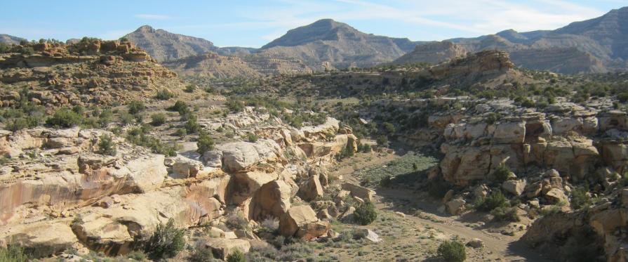 Sparsely vegetated canyon with rocky outcroppings and mountains in the distance. Blue Sky's.