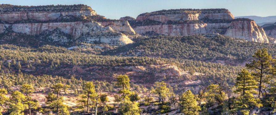 stunning canyon vistas with vegetation dispersed throughout valley  