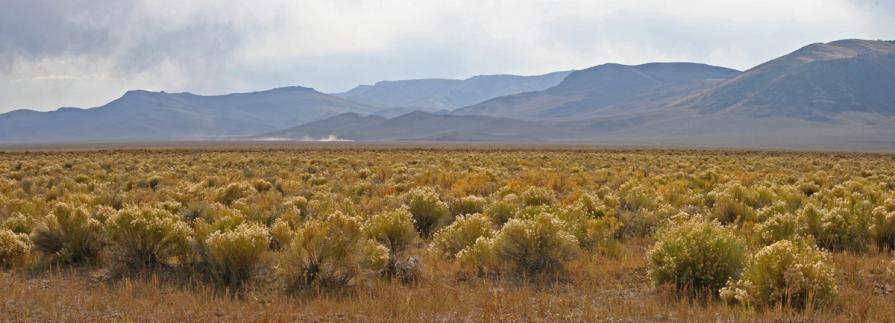 Thousand Springs Valley looking southwest to Trail Creek