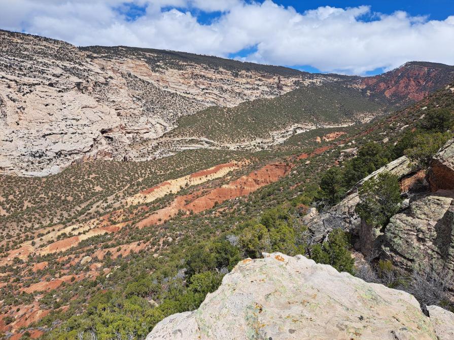 Landscape view looking into Daniels Canyon Wilderness Study Area.
