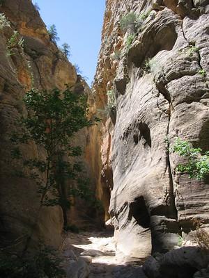 View of slot canyon from within the canyon and sunlight shining down.