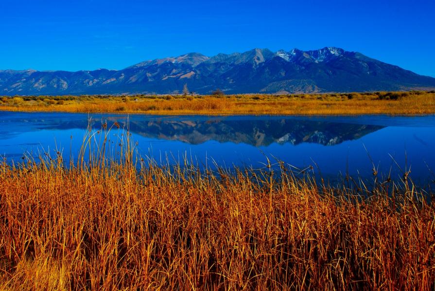 View of Blanca Peak from Blanca Wetlands with clear blue waters surrounded by tall grasses.