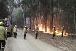 Photo of U.S. firefighters in Australia