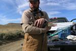 A wildlife specialist carefully cradles a greater sage-grouse hen