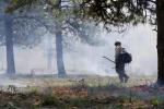 A firefighter walks among ground fire and smoke during a prescribed burn in 2023