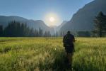 A person walks through tall green grass with rugged mountains in the background