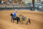 WHB Fest Day 2 - A man shows off his saddled horse. As he finishes the course, he throws up his cowboy hat to the crowd.