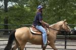 A woman rides on a tan horse inside of an outdoor pen with the fencing of the pen in the background and trees beyond it. 