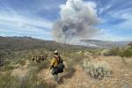 Firefighters walk through vegetation towards mountains in the foreground where a large cloud of smoke rises high into the sky. 