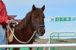 BLM-WY-2025HonorFarm