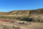a small band of wild horses gather in a corral with a water tank