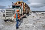 Woman forester stands next to logging truck on BLM lands.