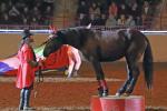 A man in a red, silk coat and black top hat with a black wild horse  performing in Theater Equus at the Horse World Expo in Harrisburg, PA. “Theater Equus” is a nighttime theatrical show featuring horses trick riding, and performing stunts, precision drills, and musical performances that showcase the athleticism, trust, and partnership between riders and their horses in a family-friendly entertainment setting. 