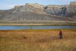 A hunter moves through tall brown grass with a dog