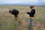 Two people conducting field research in a grassy plain, one bending down to examine the ground while the other records data on a device.