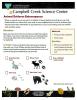 Animal Evidence Extravaganza Nature Learning Activity Sheet