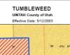 UT_OandG_Tumbleweed_webpic