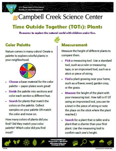 Plant Activity for children under 5