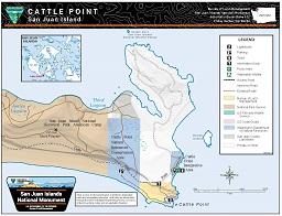 Washington - Cattle Point 