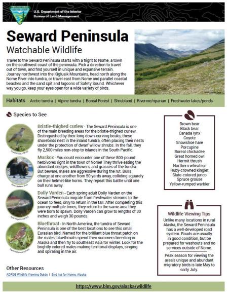 Seward Peninsula Watchable Wildlife Sheet