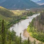 A small river flows around a bend toward rounded hills in the distance. The river is lined by pristine shorelines with birch and spruce forests.
