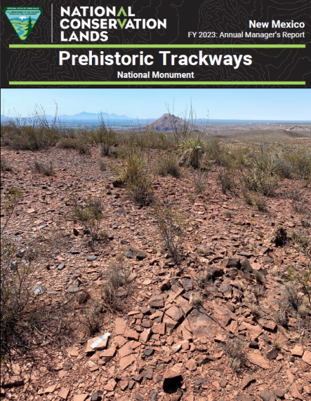 photo of flaky red rocks containing trace fossils with mountains in the background