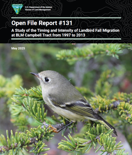 Cover of A Study of the Timing and Intensity of Landbird Fall Migration at BLM Campbell Tract from 1997 to 2013 OFR 131 featuring a Ruby Crowned Kinglet.