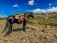 Trailhead sign for a BLM-managed equestrian trail with surrounding forest.